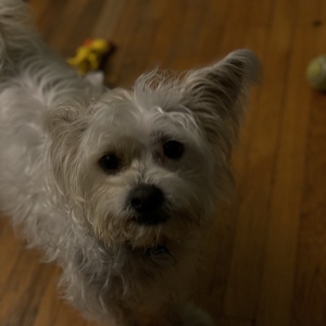 Fundraising Page: Cathy Adams-Bomar